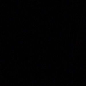 Meet your Posher, Evalynn